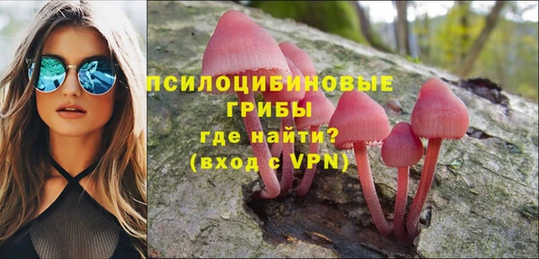 СК Бородино