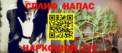 сатива Обнинск