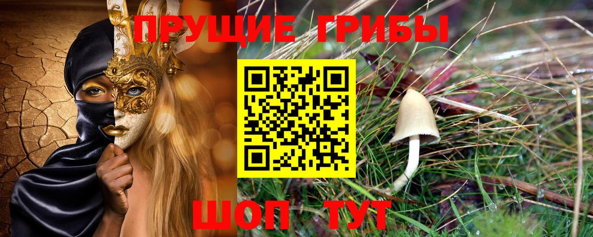 Псилоцибиновые грибы мицелий Валуйки
